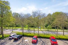 Paardebloem71689rmZwaagNL-43.jpg