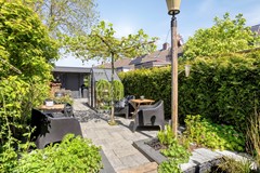 Paardebloem71689rmZwaagNL-44.jpg
