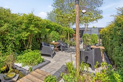 Paardebloem71689rmZwaagNL-45.jpg