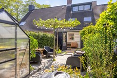 Paardebloem71689rmZwaagNL-48.jpg