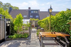 Paardebloem71689rmZwaagNL-50.jpg