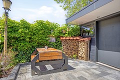 Paardebloem71689rmZwaagNL-51.jpg