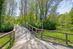 Paardebloem71689rmZwaagNL-52.jpg