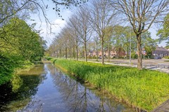Paardebloem71689rmZwaagNL-53.jpg