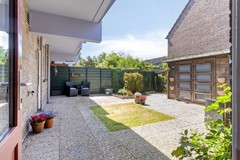 Paardebloem981689RSZwaagNL-1b.jpg