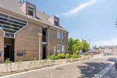 Paardebloem981689RSZwaagNL-03.jpg