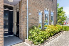 Paardebloem981689RSZwaagNL-04.jpg