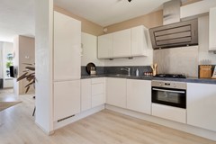 Paardebloem981689RSZwaagNL-20.jpg