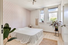 Paardebloem981689RSZwaagNL-30.jpg