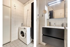 Paardebloem981689RSZwaagNL-32.jpg