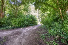 Smetanahof621628svHoornNL-36.jpg