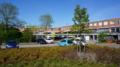 65.jpg