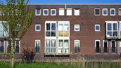 77.jpg
