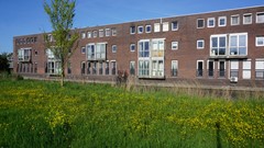 80.jpg