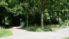 66.jpg