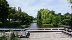 74.jpg