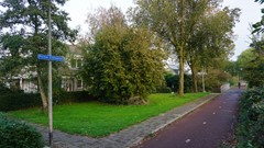 95.jpg