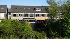 75.jpg