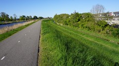 92.jpg
