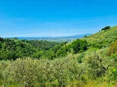 Te koop: 50059 Onbekend