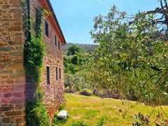 For sale: 50059 Unknown