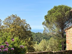 For sale: 50059 Unknown