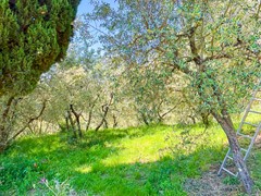 For sale: 50059 Unknown