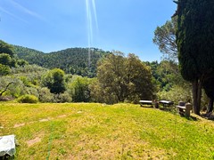 For sale: 50059 Unknown