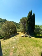 For sale: 50059 Unknown