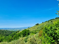 For sale: 50059 Unknown