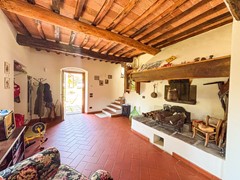 For sale:50059 Unknown - Photo