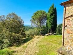 Te koop: 50059 Onbekend