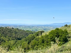 For sale: 50059 Unknown