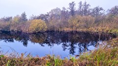 For sale: Kostverloren 1002, 8441PA Heerenveen