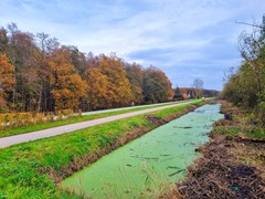 For sale: Kostverloren 1002, 8441PA Heerenveen