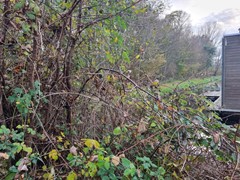 For sale: Kostverloren 1002, 8441 PA Heerenveen