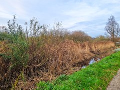 For sale: Kostverloren 1002, 8441 PA Heerenveen