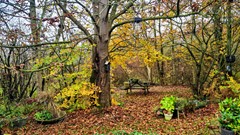 For sale: Kostverloren 1002, 8441 PA Heerenveen