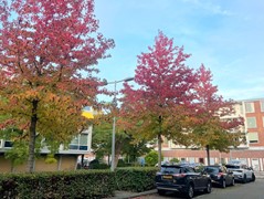 For rent: Dirk Schäferstraat 5-2, 1076 BA Amsterdam