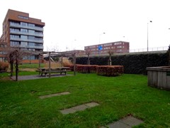 DSC01341.JPG