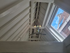 20260512_120438.jpg