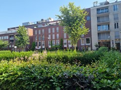 For rent: Dora Tamanaplein 16, 1074 JM Amsterdam