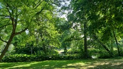 For rent: Dora Tamanaplein 16, 1074 JM Amsterdam