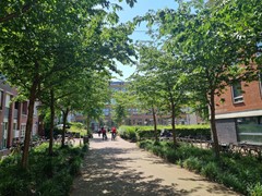 For rent: Dora Tamanaplein 16, 1074 JM Amsterdam