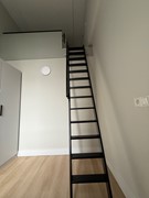IMG_0719.JPG