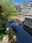 IMG_2736.JPG