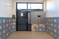 IMG_8400_zoominfoto_20260204.jpg