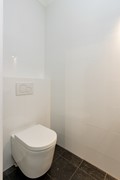 IMG_9617_zoominfoto_20250317.jpg