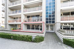IMG_0671_zoominfoto_20260304a.jpg