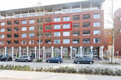IMG_2003_zoominfoto_20260324a.jpg